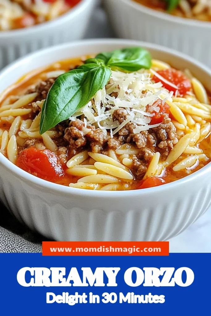 Discover the perfect weeknight meal with this creamy tomato ground beef orzo! This one pot beef orzo dish blends savory ground beef, tender orzo, and rich tomato flavors for a quick dinner recipe that's ready in just 30 minutes. Ideal for busy families, it's one of the best easy orzo recipes you'll ever make. Don’t wait – save this creamy pasta dish for your next dinner! #CreamyOrzo #QuickDinner #OnePotRecipes #PastaLovers
